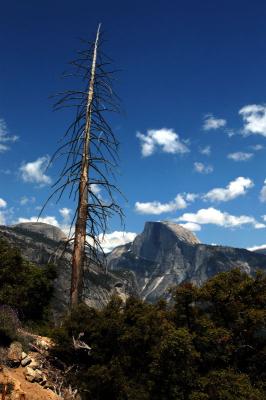 Half Dome from Yosemite Fall trail