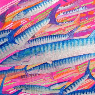 Barracuda