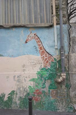 Milkas neighborhood-005.jpg