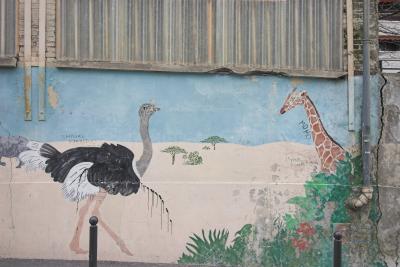 Milkas neighborhood-006.jpg