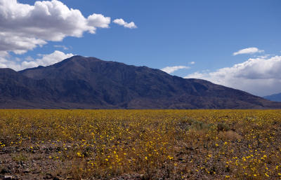 g3/22/574422/3/57794327.deathvalley6.jpg