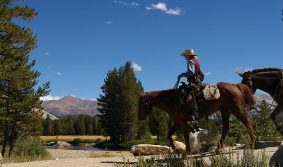 Cowgirl in Yosemite