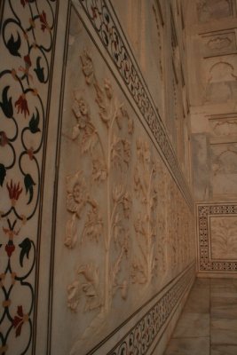 IMG_5025.JPG