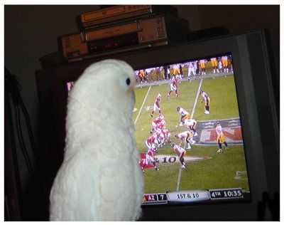 Cloud watching the game