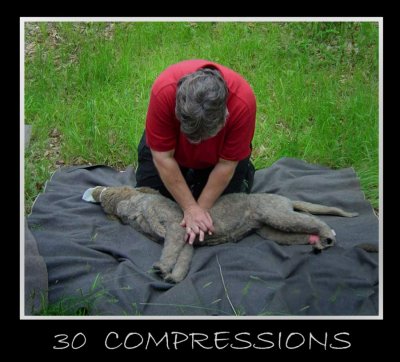 30 COMPRESSIONS