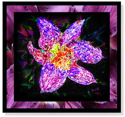 g3/22/615722/3/52672523.PURPLELILY.jpg