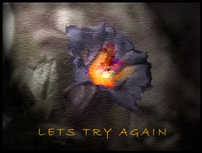 g3/22/615722/3/52675964.LETSTRYAGAIN.jpg