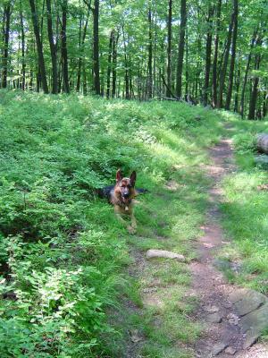 g3/22/615722/3/52851344.67HILLSTRAIL.jpg