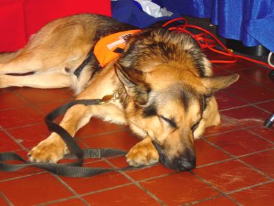 Snooze Break