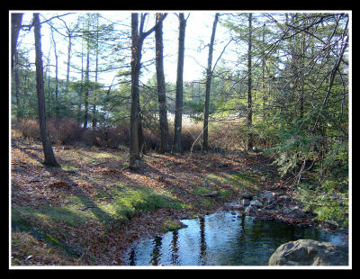 g3/22/615722/3/55839771.LakeStahaheoriginal.jpg