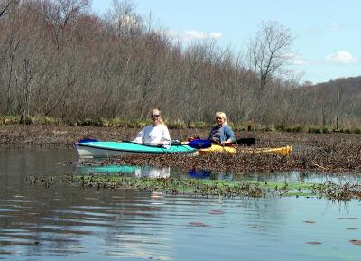 g3/22/615722/3/58811292.KayakingLakeMusconetcongRiver023.jpg