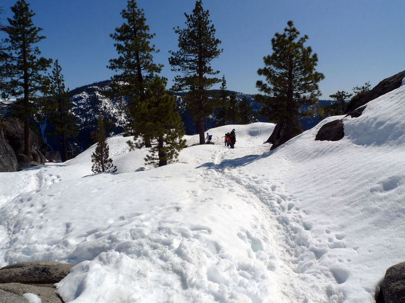 P1000074.jpg