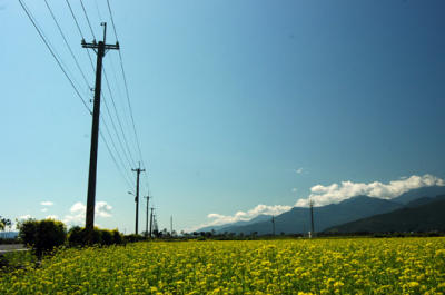ὬjaϪo4