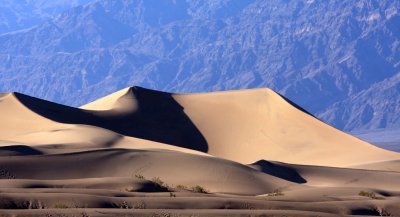 Mesquite Flat Sand Dune 1.jpg