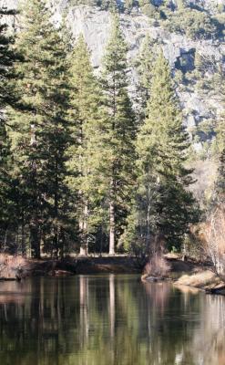 IMG_0307.jpg