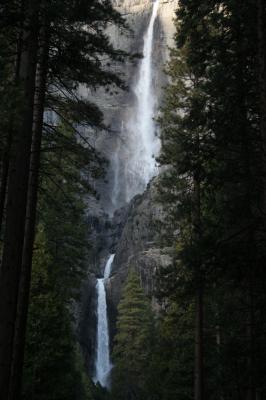 IMG_0335.jpg