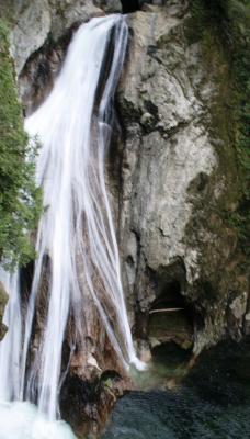 IMG_1311.jpg
