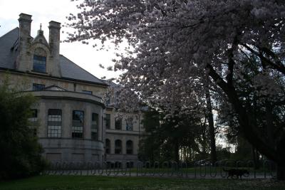 UW2 002.jpg