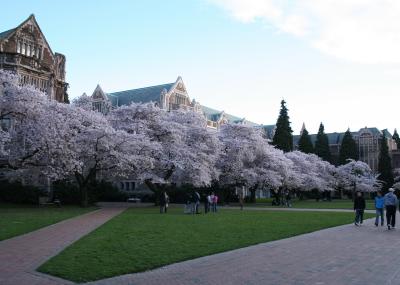 UW2 024.jpg