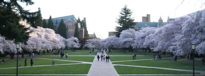 UW2 030.jpg