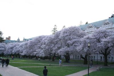 UW2 037.jpg