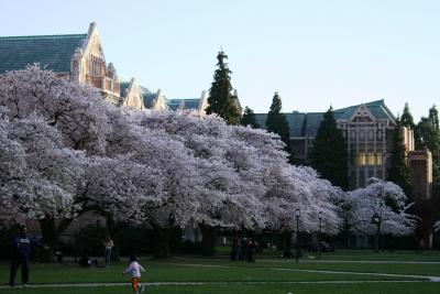 UW2 046.jpg