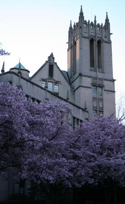 UW2 061.jpg