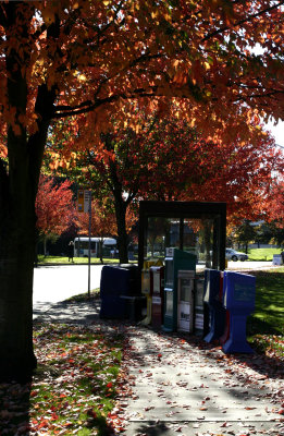 Bus Station.jpg