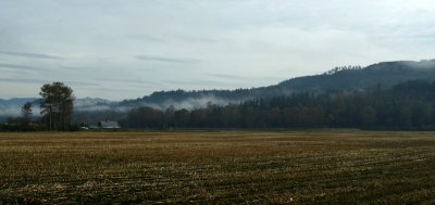 Harvested Field.jpg