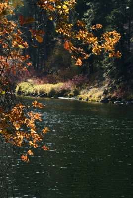 Wenatchee River 6.jpg