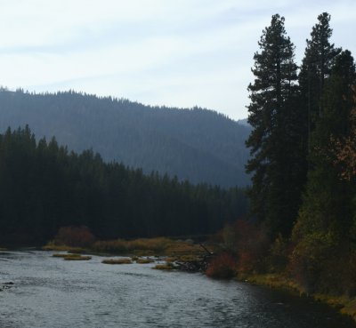 SR 207 N.jpg