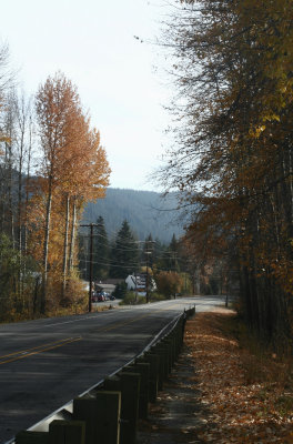SR 207 S.jpg