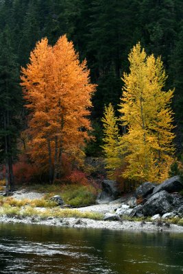 Wenatchee River 3.jpg