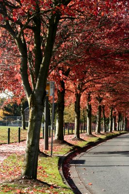 159th and 36th.jpg