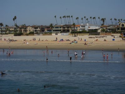 View from the Pier