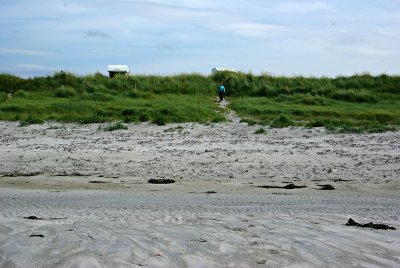 south_uist_wild2.jpg