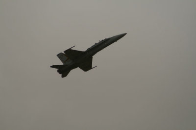 Hornet 1.jpg
