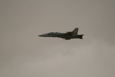 IMG_0775.jpg