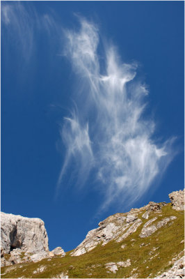 44.passo sesis.jpg