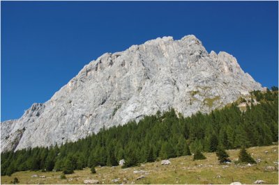 50.monte peralba.jpg
