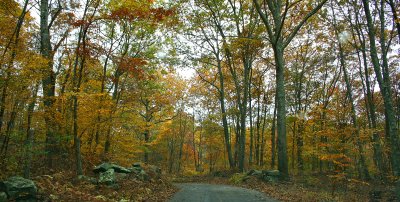 Back Country Road Connecticut