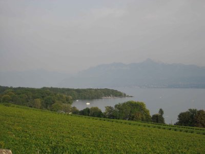 La vue depuis le temple de Perroy
