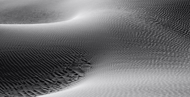 BW Dune Study 29.jpg
