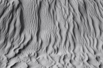 Death Valley Dunes in Black and White