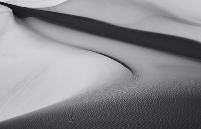 BW Dune Study 11.jpg