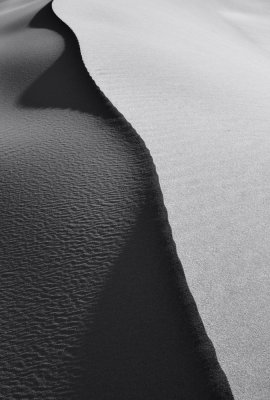 BW Dune Study 12.jpg