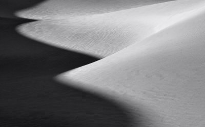 BW Dune Study 13.jpg