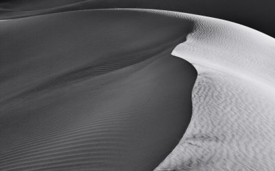 BW Dune Study 14.jpg