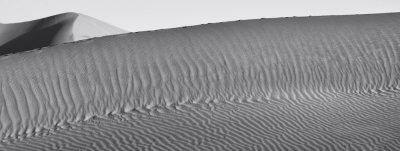 BW Dune Study 15.jpg