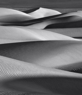 BW Dune Study 16.jpg